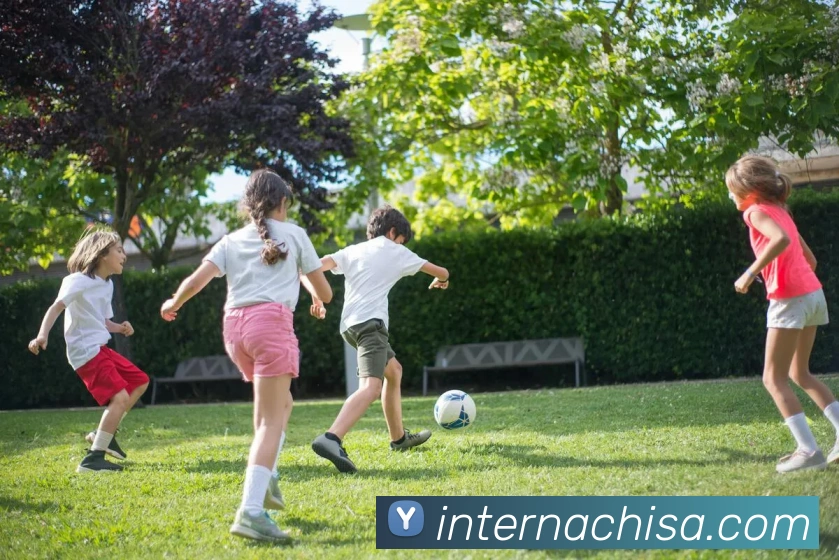 多媒体互动体验